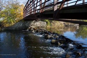 fall stream bridge butler lake libertyville illinois